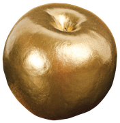 Bronze-Christmas-Elements-17