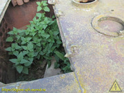 IMG-3571
