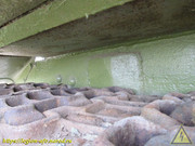 IMG-3273