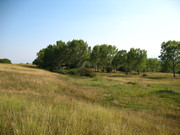 ADP Free party Balscha 2009 018