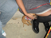 21.1.party-ready Betsy I