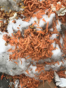 B376829E-2DB1-4880-849D-72A6B7FA0EB9