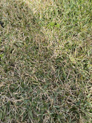 C8BD3817-B226-4A9B-84FA-6B77E4EF655D