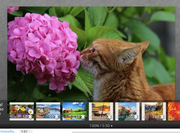 Screen Shot 2021-06-23 at 8.54.14 PM