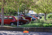 IMG-3931
