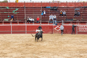 IMG-0161