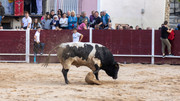 IMG-0080
