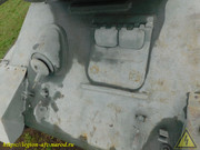 DSCN6084