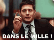 Citations, Proverbe et Dictons de Mai - Page 3 Dans-le-mille-mille