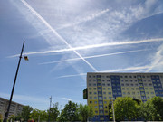 IMG_20220617_125114_1