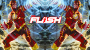 flash6wp