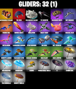 gliders-comp