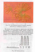 Volshebnii-Cruchok-14