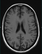 Screenshot 20251108 124105 Chrome 4