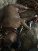 9801F89C-4262-491A-8E08-DEC5648973EA