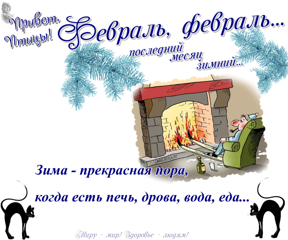 https://i.postimg.cc/SK02G9w7/04-02.png