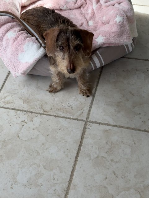 [Image: IMG-0451.jpg]