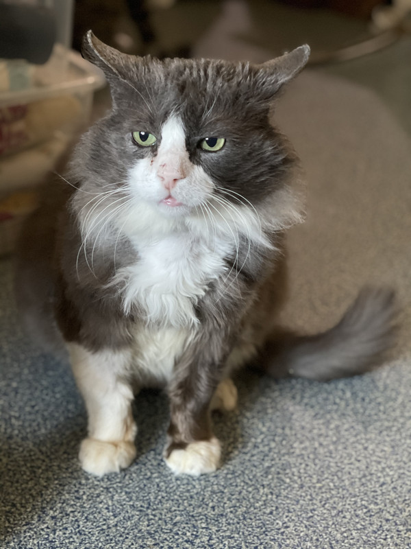 68403553-2C12-4BD5-B55A-A3B9C49CCA19