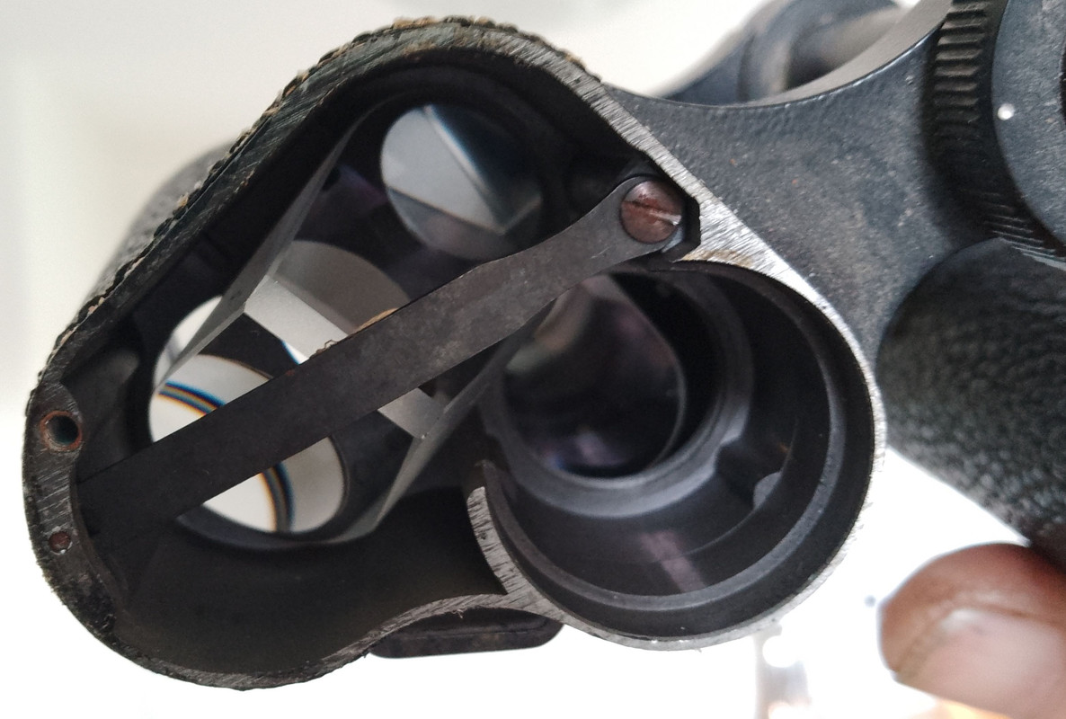 IMG_20250320_154900_540~2