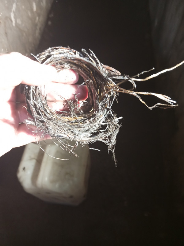 IMG 20260220 094011 008