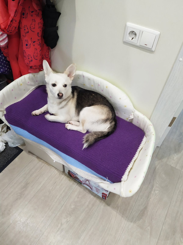 4D676D67-20A1-4CDF-AFBF-85869661622C