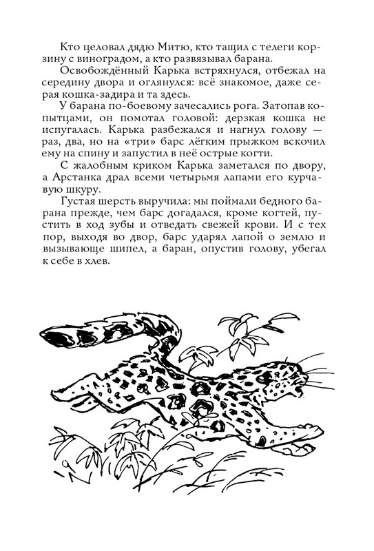 Radzijevskaja-Sofa-Tom-muzykant-page-0023