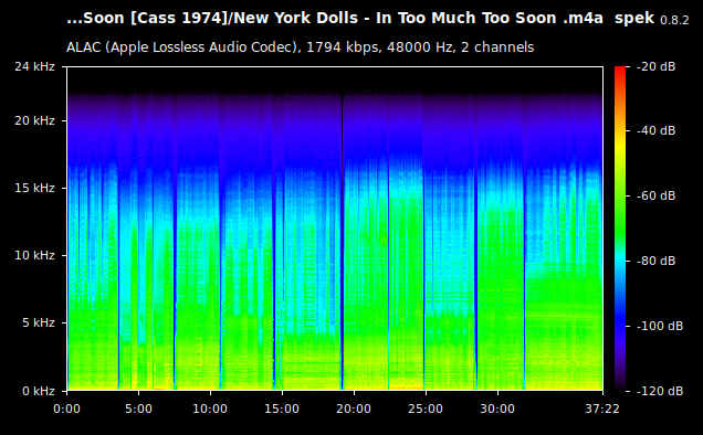 New York Dolls - In Too Much Too Soon .m4a