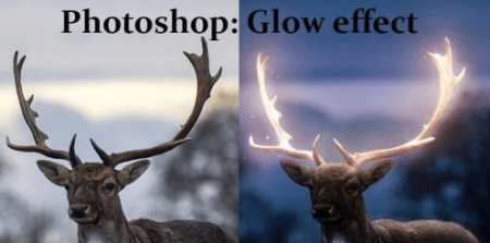 9ff4fff6-6bee-4664-a495-bb5e1d23578c.png