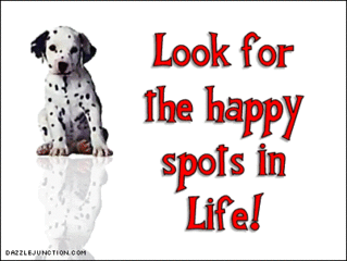 happy-spots-in-life