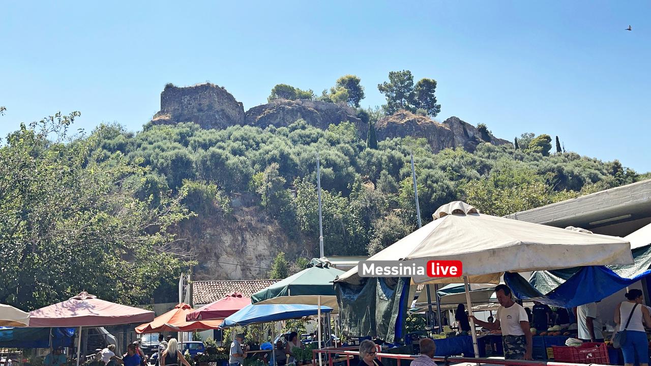 AGORA-1IMG-3004