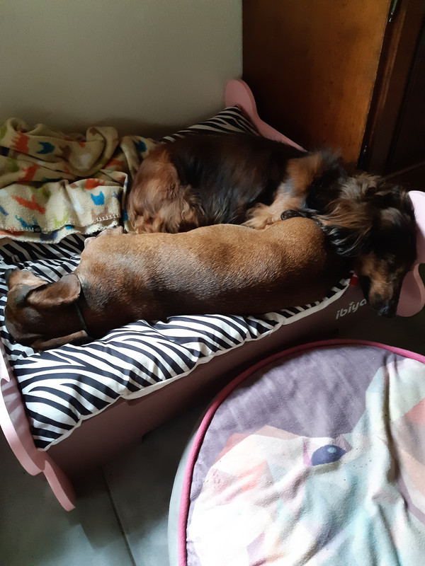 [Image: 20210628-175337.jpg]