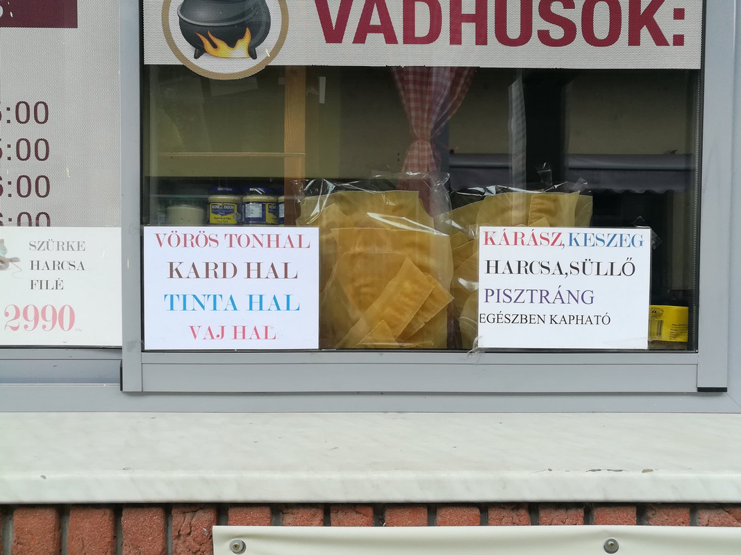 Kép