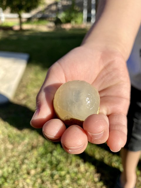 [Image: 2207-D678-B54-E-4115-9-D08-3798-CAA75-C81.jpg]