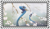 dragonair