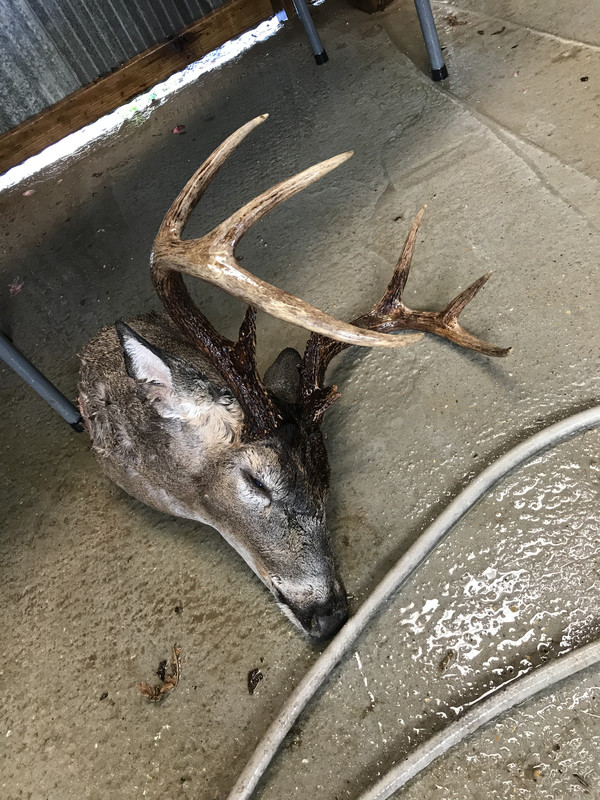 8D24A223-5CFF-4E44-A43E-0AF5CB5C15E3