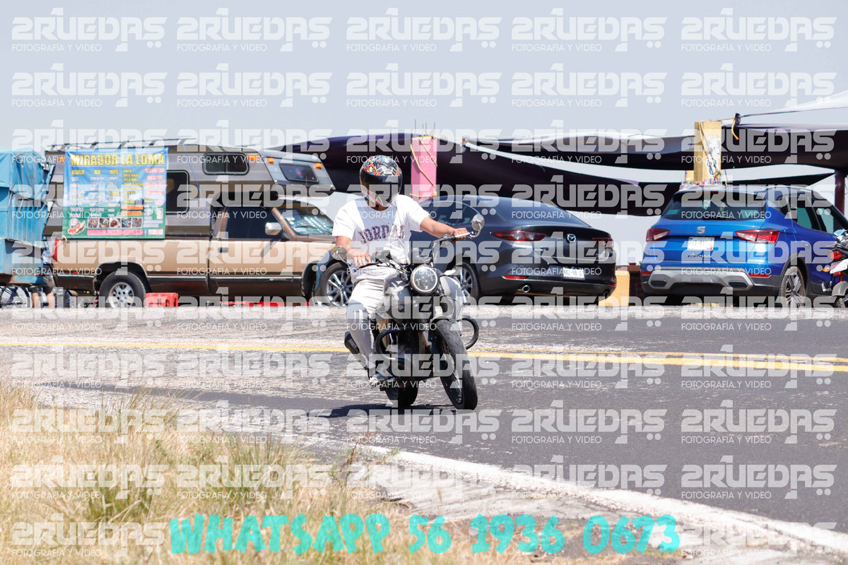 MG 1164 — Postimages