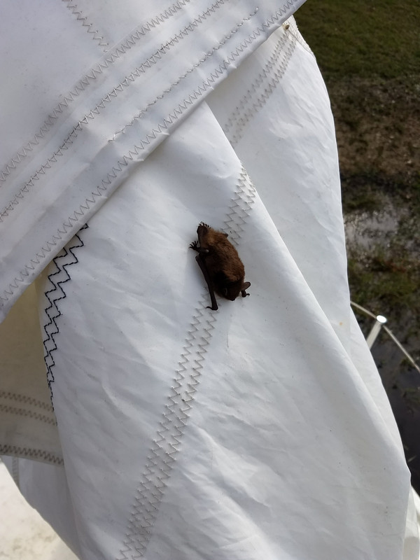 IMG_20171227_114358490