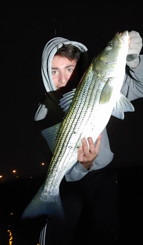 Screenshot_20230504-2039012