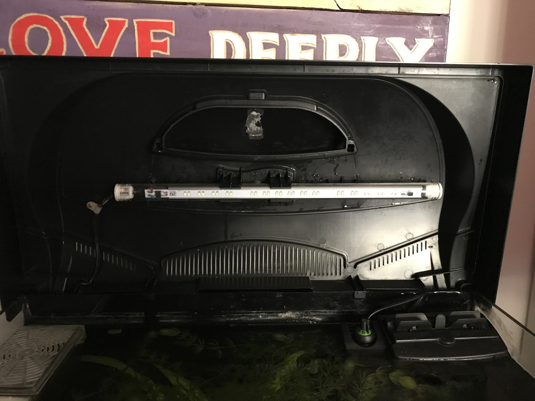 EDC57A47-A517-4BBD-9D37-D437DA3777A8