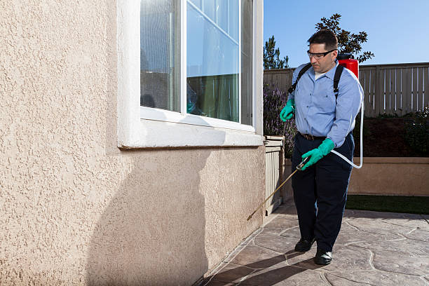 Pest Control Orlando