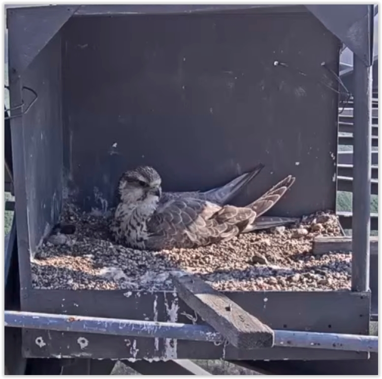 Screen Shot 04-21-22 at 08.38 AM