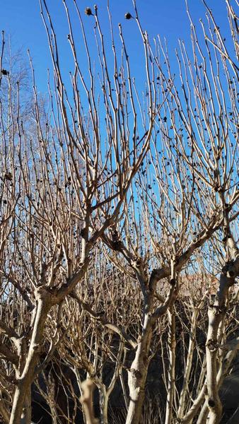 изображение viber 2026 03 10 17 02 12 531