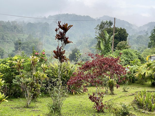 [Linked Image from i.postimg.cc]