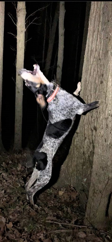 Resized_IMG954250 (1)