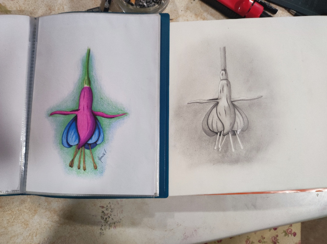 stylo bille vs crayon