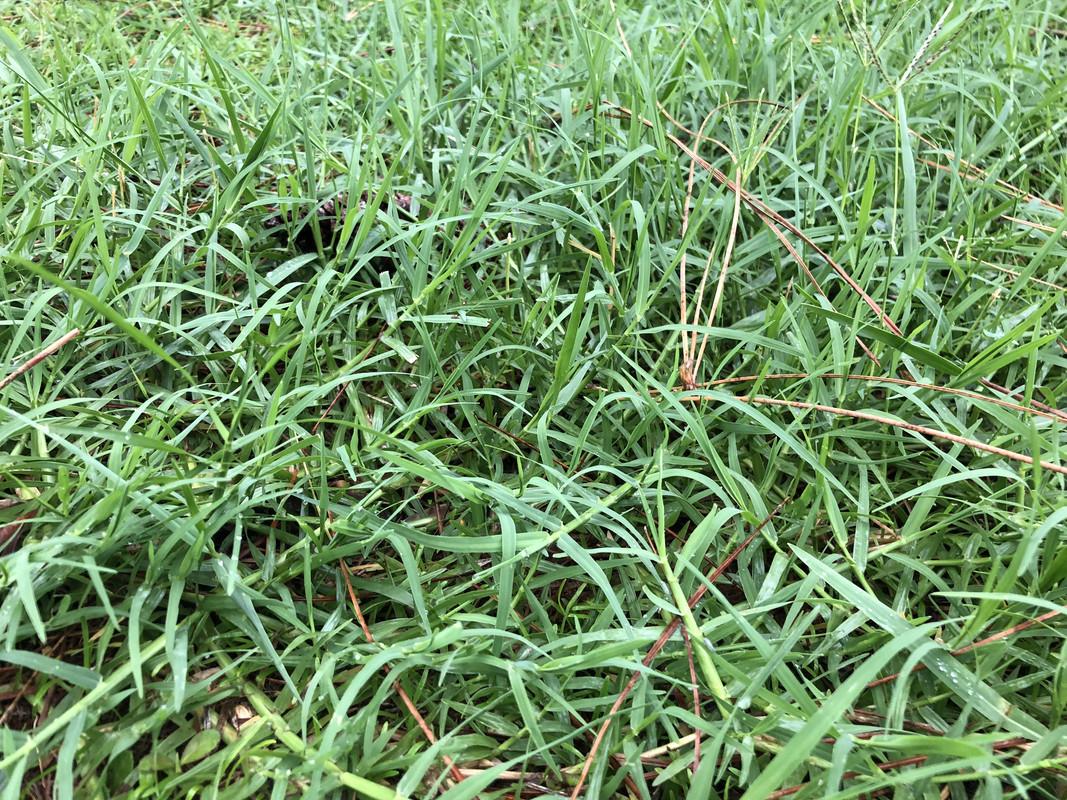 A2356594-46DA-4970-922C-BDDB1BD2D607