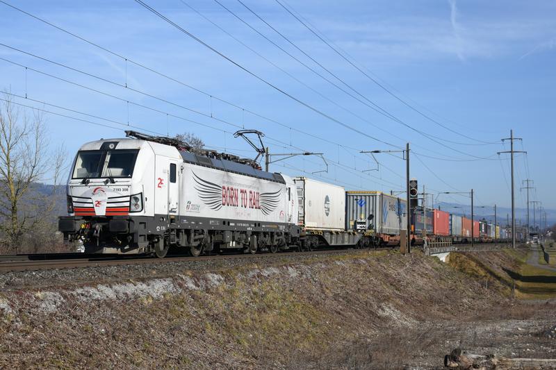 DSC-0952-7193-308-a-Pratteln-Salina-Raur