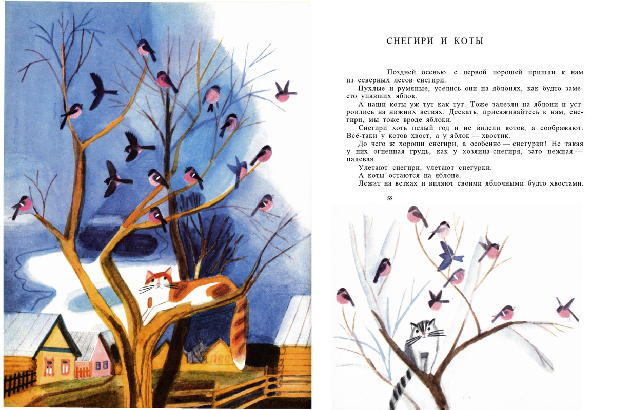 1991-page-0029