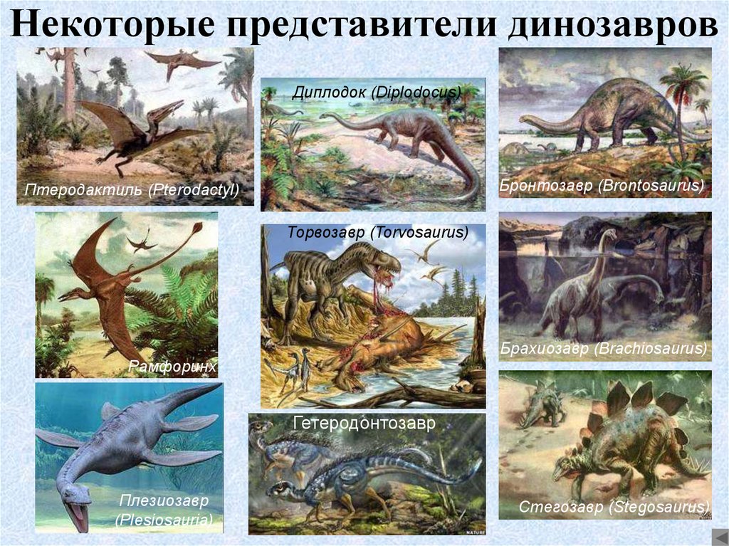 slide 20