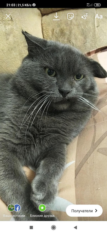 57300744-8EC9-4825-98BB-1AB2AA3041F0